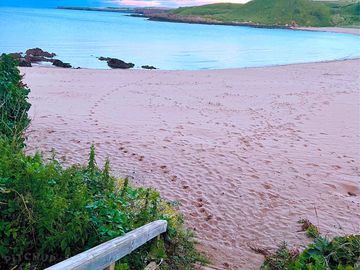Take a stroll down to coldingham bay (added by manager 16 nov 2022)