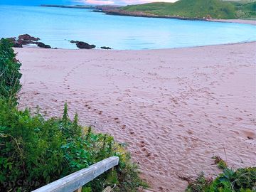 Take a stroll down to coldingham bay