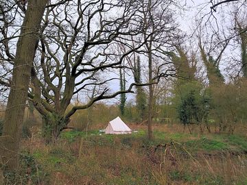 Newest pitch by oak and pond