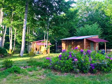 Cabins tucked under the trees