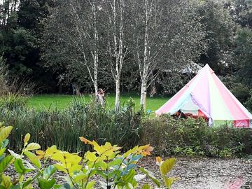 Lakeside bell tent (added by manager 17 mar 2021)