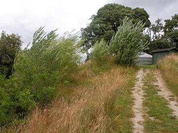 Track to the yurt