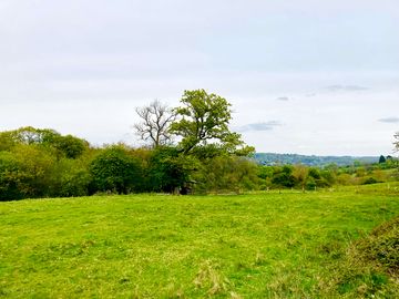 Wild camping site