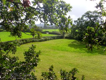 Recreation field