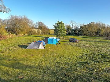 Grass pitches