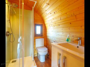 Bathroom with large shower, toilet and sink