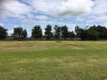 Peaceful pitch surrounded by trees and grass bank