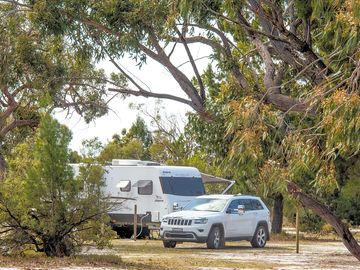 Camp between the trees