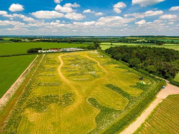 Aerial view of the site