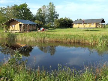 Pond