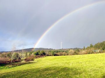 Rainbow over the meadow