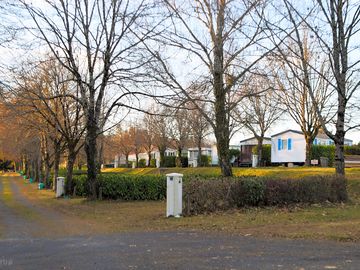 Tree-shaded pitches
