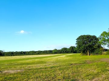 Field stay
