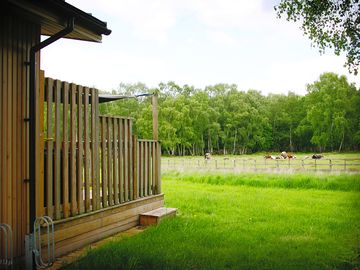 Two-bedroom lodge exterior