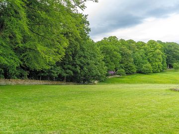 Green surroundings
