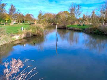 Our lake
