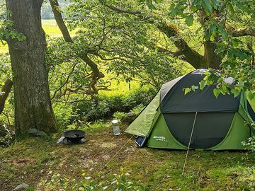 Our riverside pitch, under two great oaks, with ponies in the field on each side