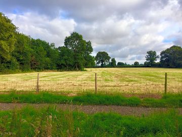 View of the site from the footpath