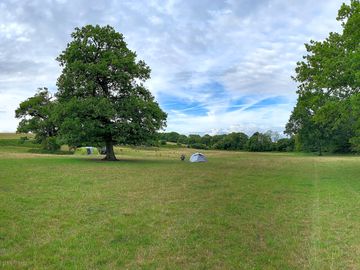 Spacious pitches