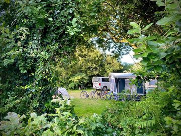 Greenery around the pitches