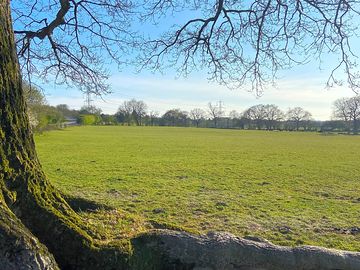 Trees around the pitches (added by manager 25 apr 2021)