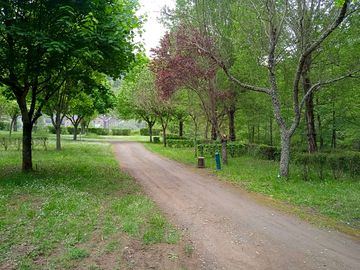Pitches