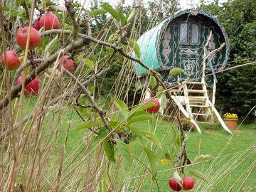 Original bowtop gypsy caravan included for you to enjoy