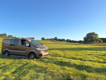 Pitch on the site