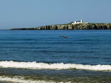 Farne island from the beach.