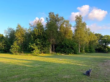 Hook-up field with trees in the middle