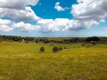 View overlooking the campsite.
