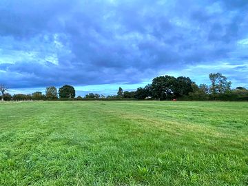Hay field