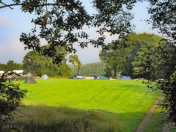 View across the site