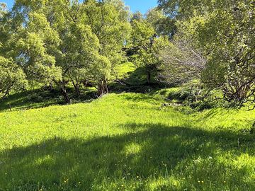 Quiet surroundings