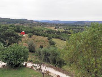View from the site