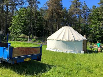 Yurt pitch