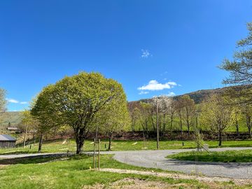 Pitches surrounded by trees