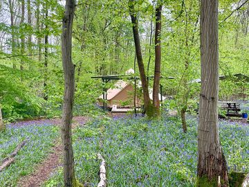 Wild boar wood bell tent