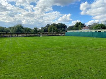 Trees along the side of the field (added by manager 09 aug 2023)