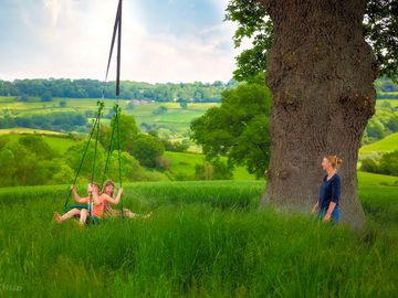 Tree swing