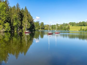 Maltschachersee eingebettet in der unberührten natur