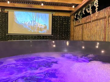 Wood-fired hot tub
