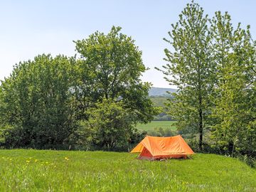 Plenty of space on the cherry tree pitch