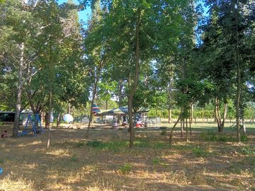 Shaded grass and earth pitch with view of the aeroplane