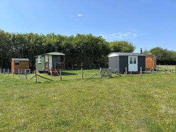 View of the site
