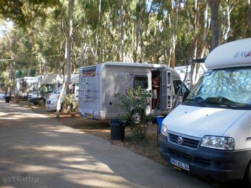 Pitches among the trees
