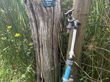 Drinking water tap