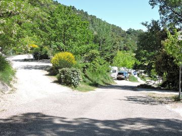 Around the wooded site