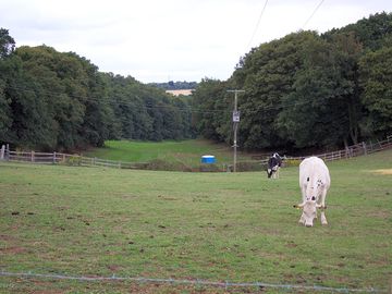 Quiet neighbours