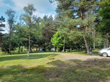 Pitches shaded by trees
